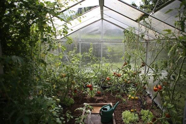 Comment transformer vos déchets organiques en ressources pour votre jardin en permaculture au Pays basque?