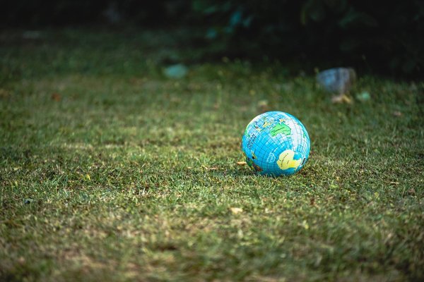 Qu'est-ce que l'écologie scientifique et comment elle peut aider à sauver notre planète ?