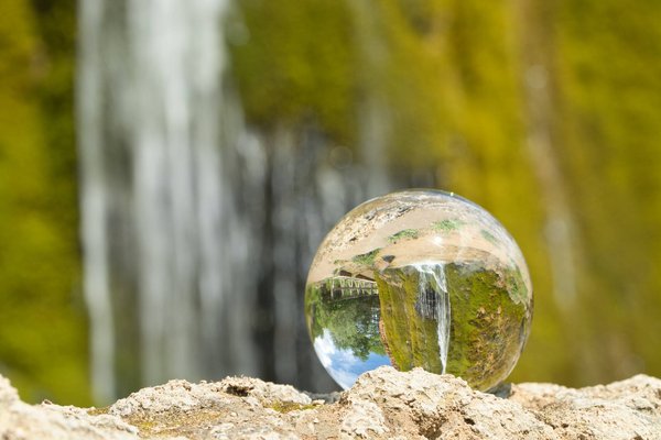 Quelle est la différence entre écologie et environnement ?