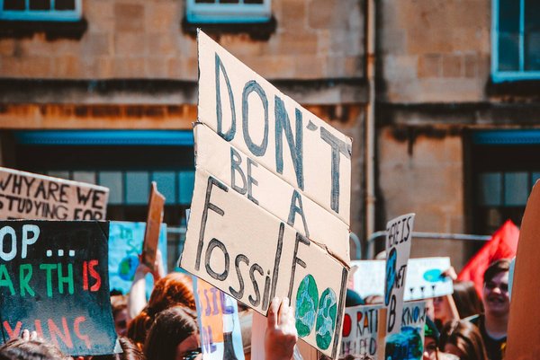 Les Succès et Limites des Mouvements Écologiques