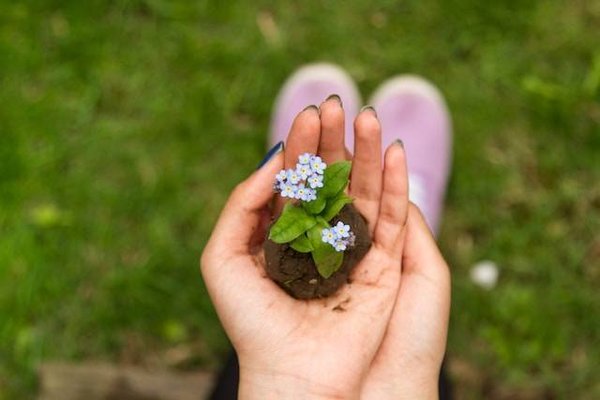 Tout savoir sur les campings écologiques où profiter de l'eau